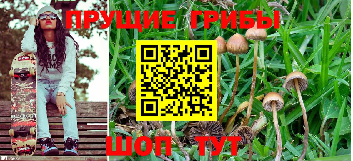 Псилоцибиновые грибы Magic Shrooms  Вход с VPN  Казань 